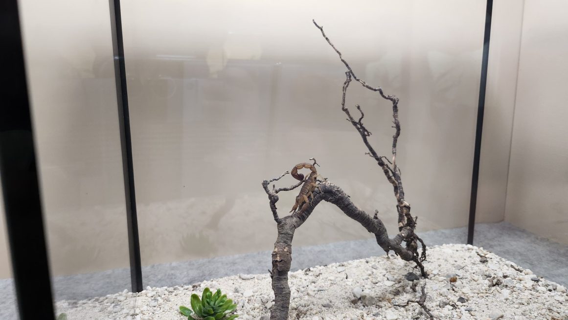 b0f6c3c9-f6a4-49fc-8152-3b843ae57daf