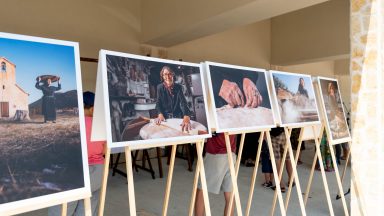 benkovacki-sajam-FOTO-Linda-Vidovic-46