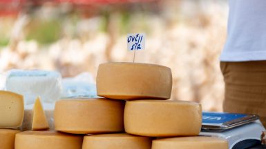 benkovacki-sajam-FOTO-Linda-Vidovic-5