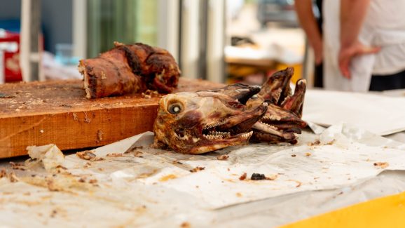 benkovacki-sajam-FOTO-Linda-Vidovic-56