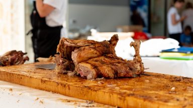 benkovacki-sajam-FOTO-Linda-Vidovic-57