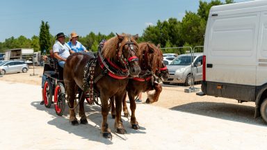 benkovacki-sajam-FOTO-Linda-Vidovic-58