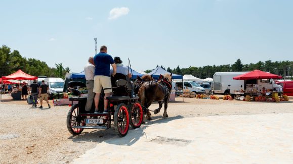 benkovacki-sajam-FOTO-Linda-Vidovic-60