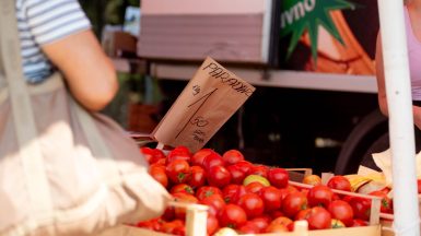 benkovacki-sajam-FOTO-Linda-Vidovic-7