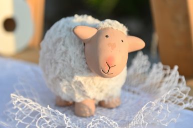 novalja vridne ruke poljoprivreda turizam 1 5