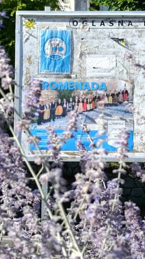 novigrad 060724 foto aleksandra ćeliković 14