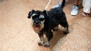 portreti-i-autoportreti-FOTO-Linda-Vidovic-29-7-2024-11