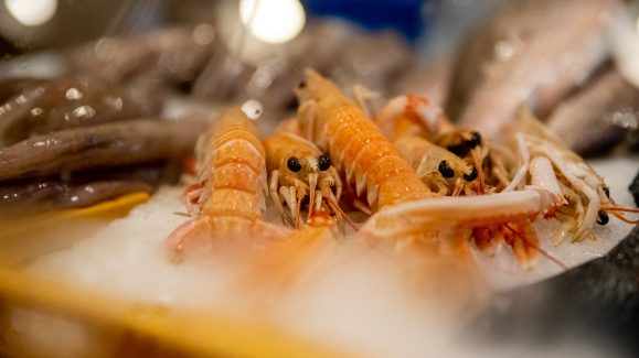 ribarnica-foto-dir-FOTO-Linda-Vidovic-11-7-2024-18