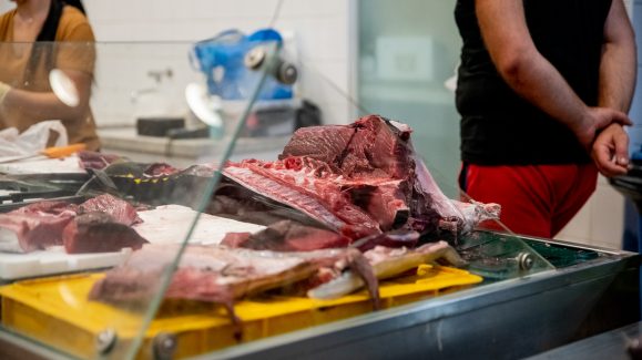 ribarnica-foto-dir-FOTO-Linda-Vidovic-11-7-2024-22