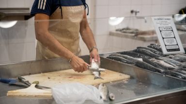 ribarnica-foto-dir-FOTO-Linda-Vidovic-11-7-2024-24