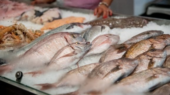 ribarnica-foto-dir-FOTO-Linda-Vidovic-11-7-2024-8