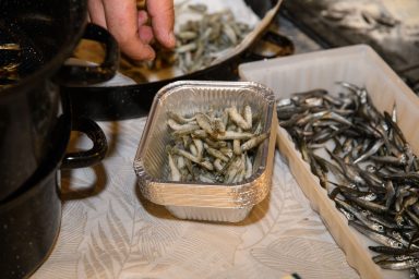 VRSI - 27.07.2024 - Vrške ćakule održane u jezgri sela