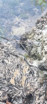 564c2b91-19d9-42f8-ac14-86d40afbfa84