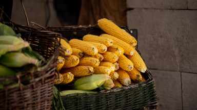 dir-gradom-FOTO-Linda-Vidovic-20-8-34