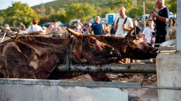 prisnac-fest-zelengrad-FOTO-Linda-Vidovic-24-8-31