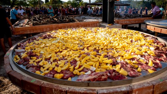 prisnac-fest-zelengrad-FOTO-Linda-Vidovic-24-8-5