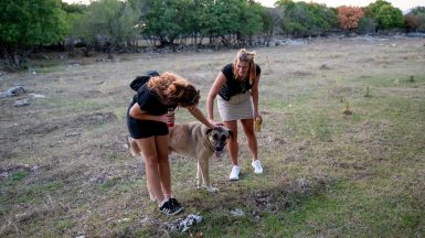 prisnac-fest-zelengrad-FOTO-Linda-Vidovic-24-8-64