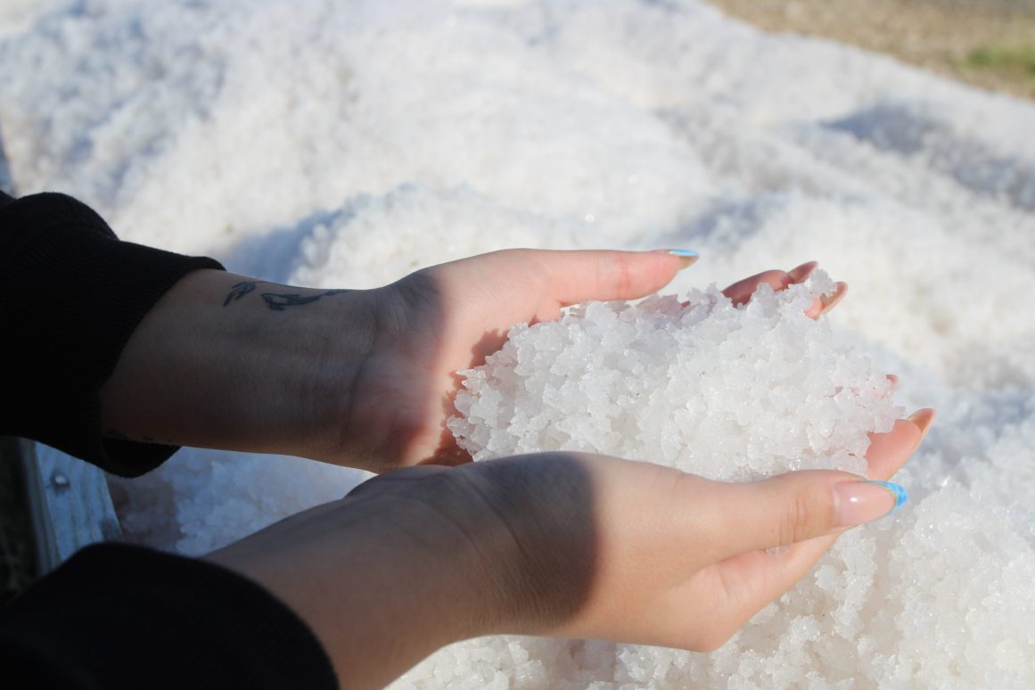 Misec paške soli-FOTO-Mia-Mrkic111