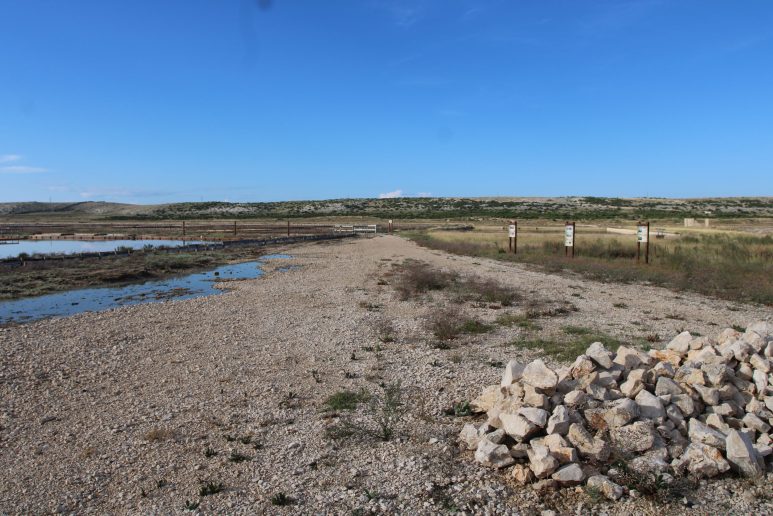 Misec paške soli-FOTO-Mia-Mrkic14