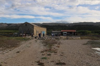 Misec paške soli-FOTO-Mia-Mrkic17