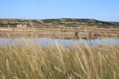 Misec paške soli-FOTO-Mia-Mrkic20