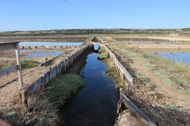 Misec paške soli-FOTO-Mia-Mrkic24