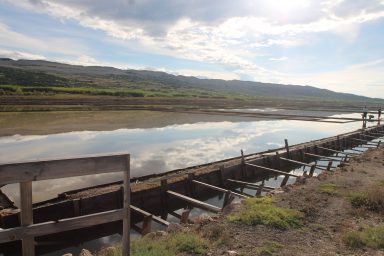 Misec paške soli-FOTO-Mia-Mrkic25