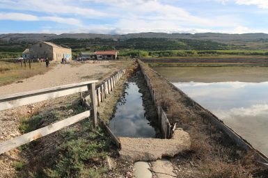 Misec paške soli-FOTO-Mia-Mrkic26