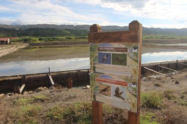 Misec paške soli-FOTO-Mia-Mrkic27