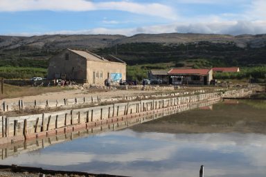 Misec paške soli-FOTO-Mia-Mrkic28