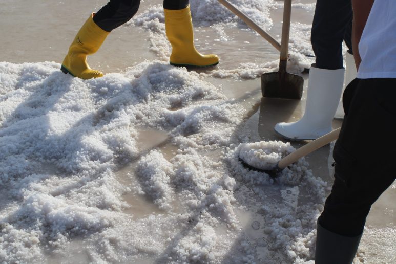 Misec paške soli-FOTO-Mia-Mrkic34