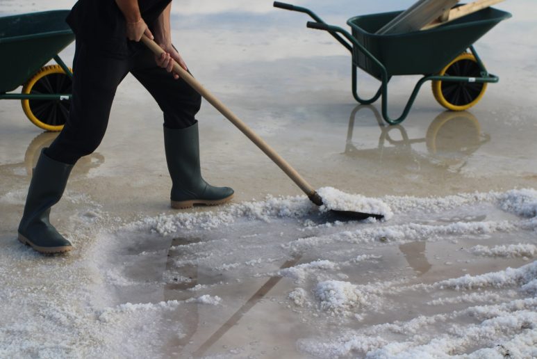 Misec paške soli-FOTO-Mia-Mrkic43