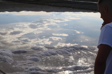 Misec paške soli-FOTO-Mia-Mrkic45