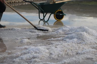 Misec paške soli-FOTO-Mia-Mrkic50