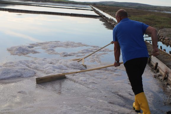 Misec paške soli-FOTO-Mia-Mrkic55