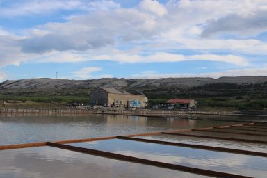 Misec paške soli-FOTO-Mia-Mrkic60