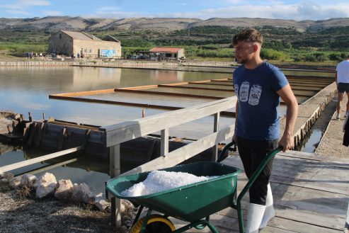 Misec paške soli-FOTO-Mia-Mrkic64