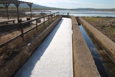 Misec paške soli-FOTO-Mia-Mrkic78