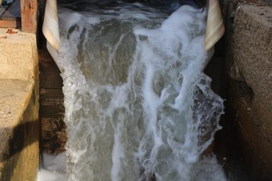 Misec paške soli-FOTO-Mia-Mrkic88