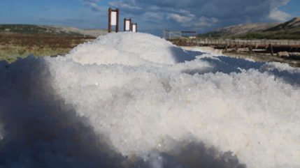 Misec paške soli-FOTO-Mia-Mrkic97