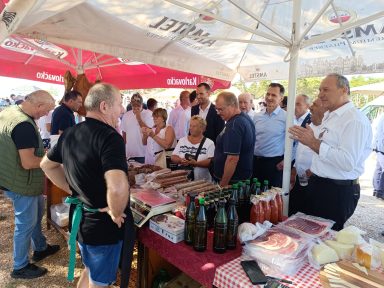 hdz sajam benkovac 3