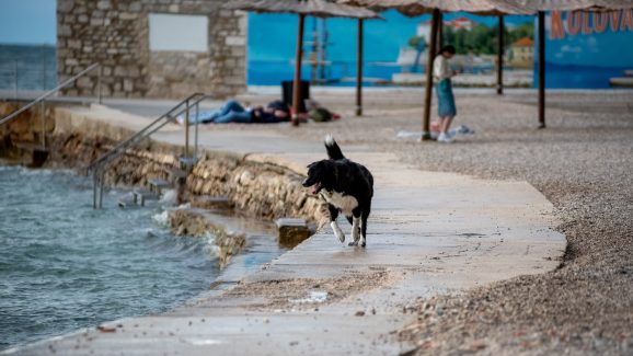 kolovare-foto-dir-FOTO-Linda-Vidovic-16-9-55
