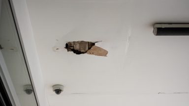 spica-FOTO-Linda-Vidovic-28-9-20