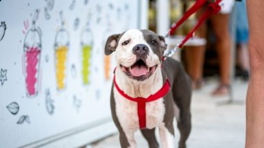 spica-FOTO-Linda-Vidovic-3-9-38