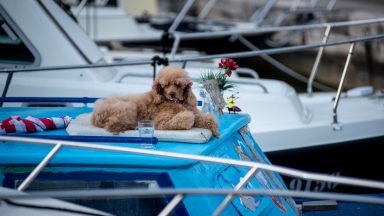 foto-dir-kolovare-FOTO-Linda-Vidovic-31-10-2