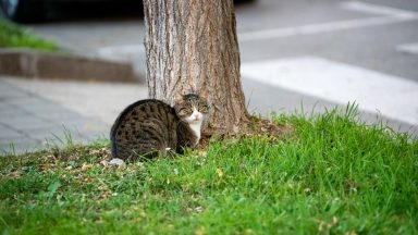 foto-dir-kolovare-FOTO-Linda-Vidovic-31-10-6