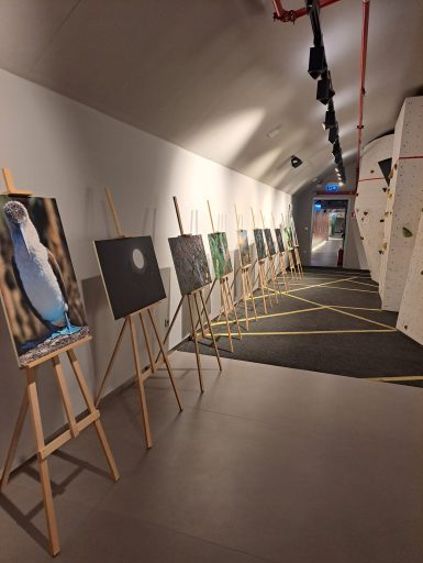 izložba np paklenica podzemni grad 4