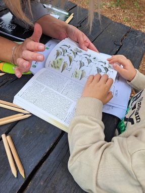 np paklenica radionica 4