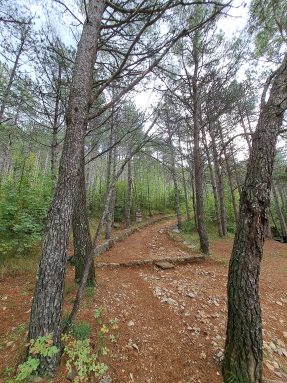 np paklenica radionica 5