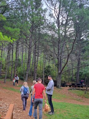 np paklenica radionica 6